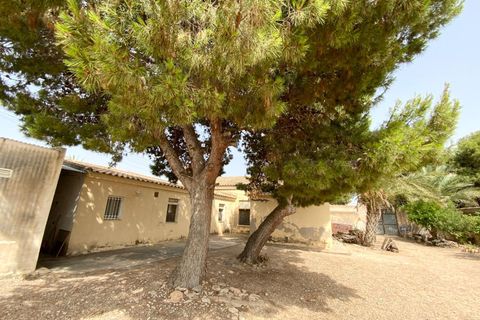 Finca i Torre Pacheco, Murcia, Torre Pacheco - € 298.000 | Ref: V498TM - foto 2